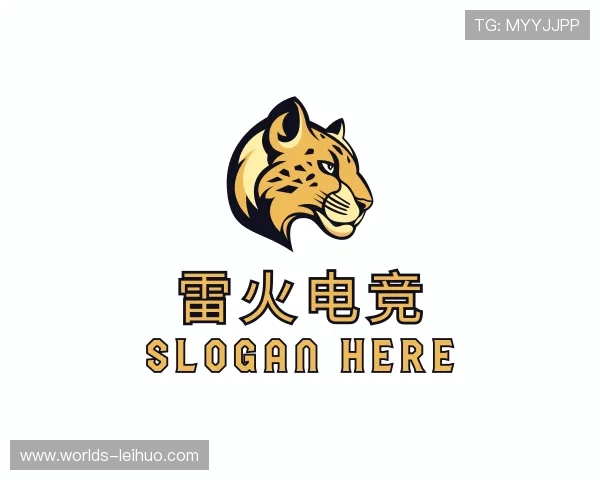 了解雷火电竞团队