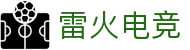 雷火电竞,雷火电竞入口,雷火电竞官方网站